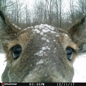 Meet your Posher, Jeff